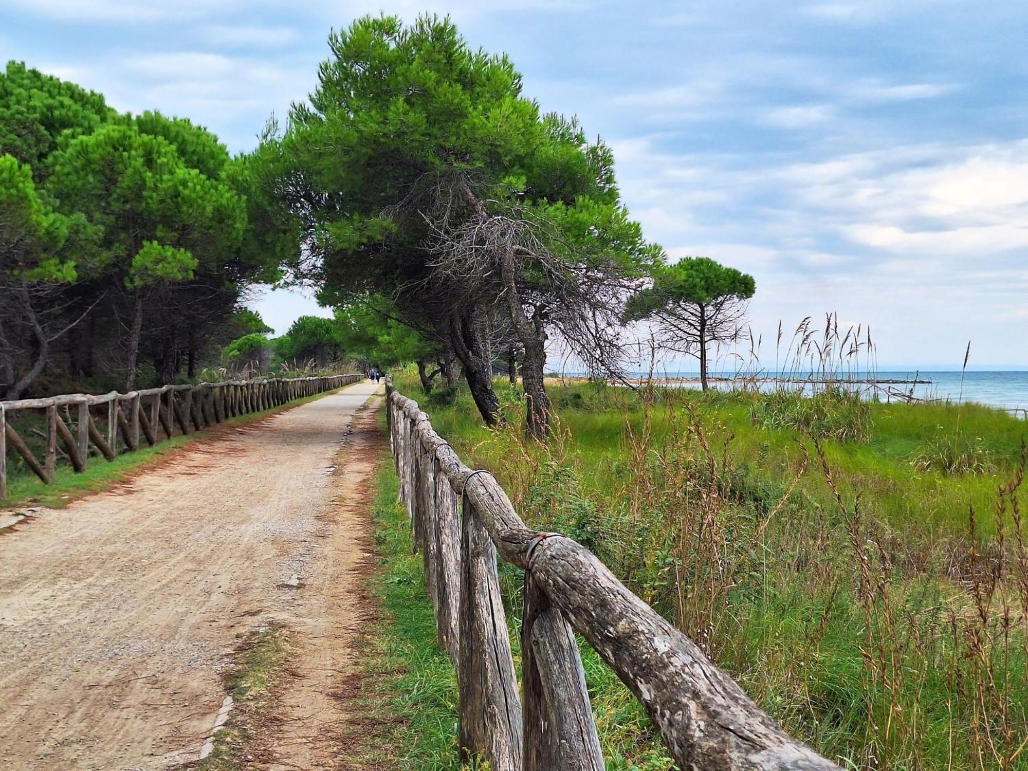 Cozy Two-room Flat 100 Metres From * Bibione